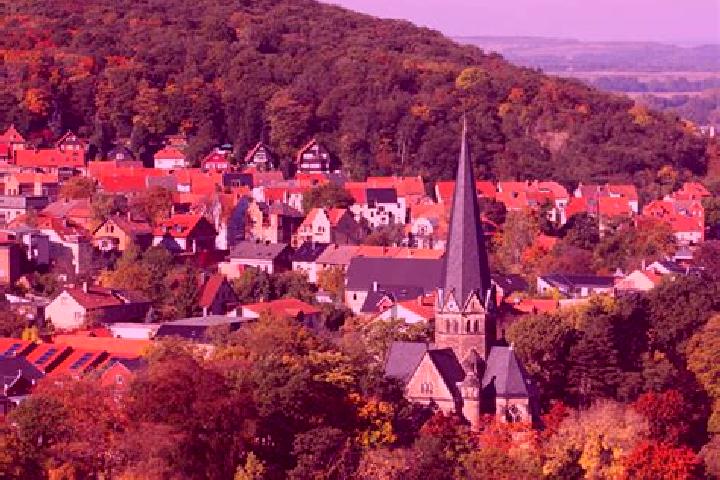 Lily, 37 — Escort in Thale, Germany