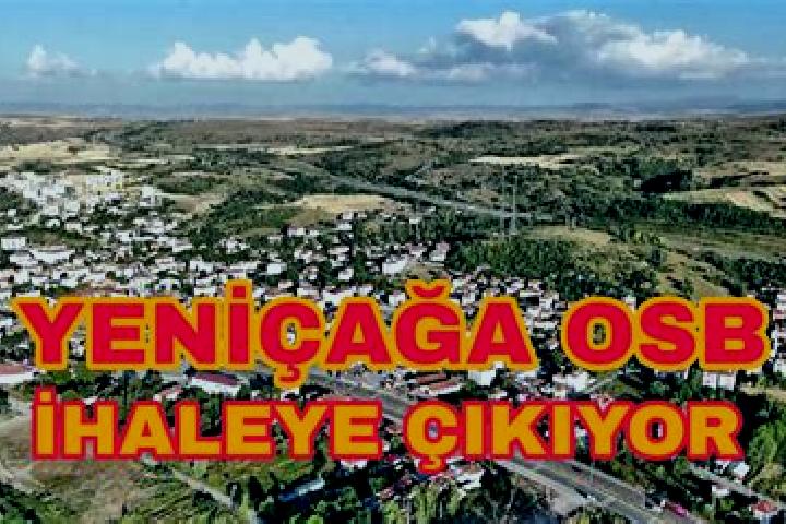 Lily, 37 — Escort in Yenicaga, Turkey