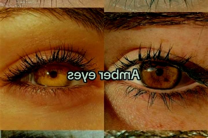 Lily, 38, a chestnut amber-eyed mixed companion based in Starowa Gora. Offering Dinner Date, A-Level, OWO. Available for incall and outcall, overnight bookin...