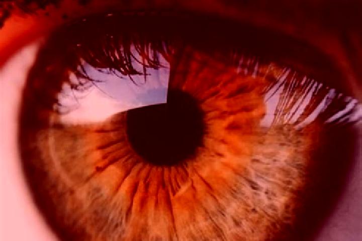 Lily, 38, a dark blonde hazel-eyed european companion based in Biere. Offering OWO, Girlfriend Experience. Available for incall and outcall, day and evening ...