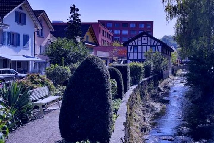 Lily, 38 — Escort in Affoltern am Albis, Switzerland