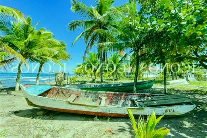 Lily, 38 — Escort in Baracoa, Honduras
