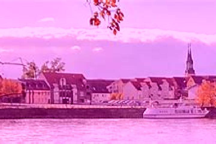 Lily, 38 — Escort in Pretzien, Germany