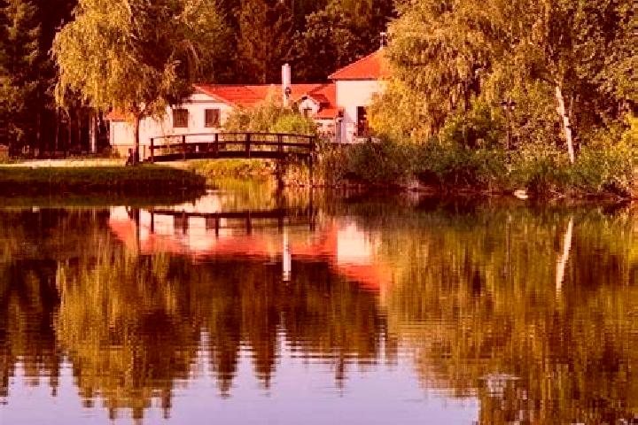 Lily, 38 — Escort in Zabor, Poland