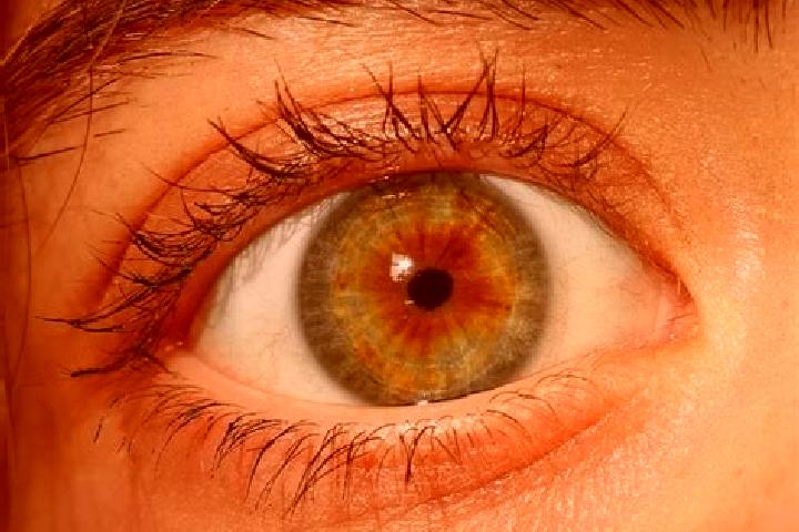 Lily, 39, a red hazel-eyed mixed companion based in Ano Poroia. Offering Tantra, Domination, GFE, BDSM, Duos. Available for incall and outcall, overnight boo...