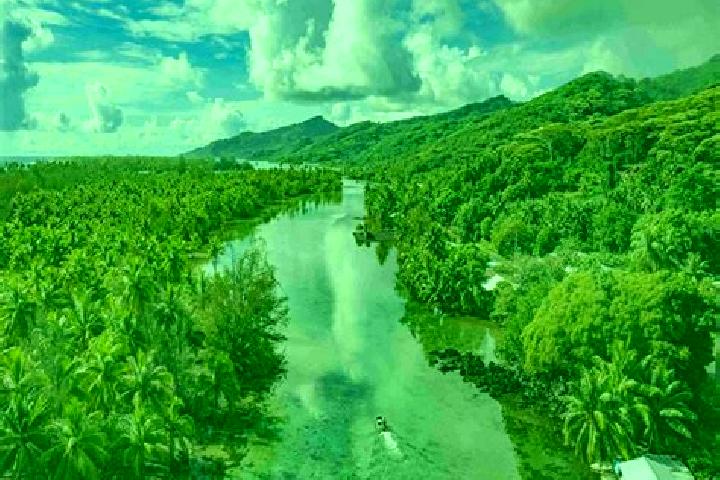 Lily, 39 — Escort in Fitii, French Polynesia