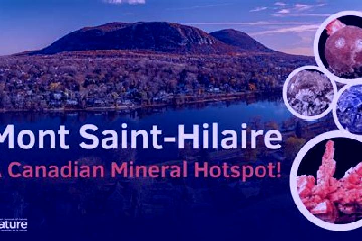 Lily, 39 — Escort in Mont-Saint-Hilaire, Canada