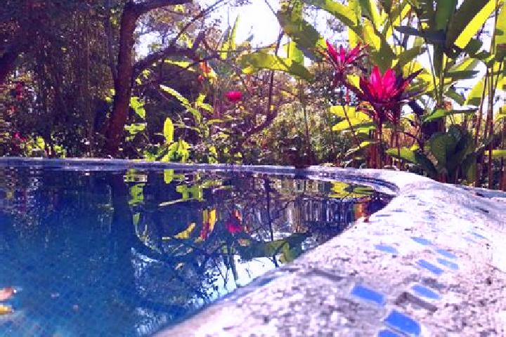 Lily, 39 — Escort in Santa Rosa Treinta, Mexico