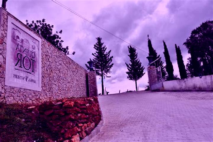 Lily, 39 — Escort in Sao Marcos da Serra, Portugal