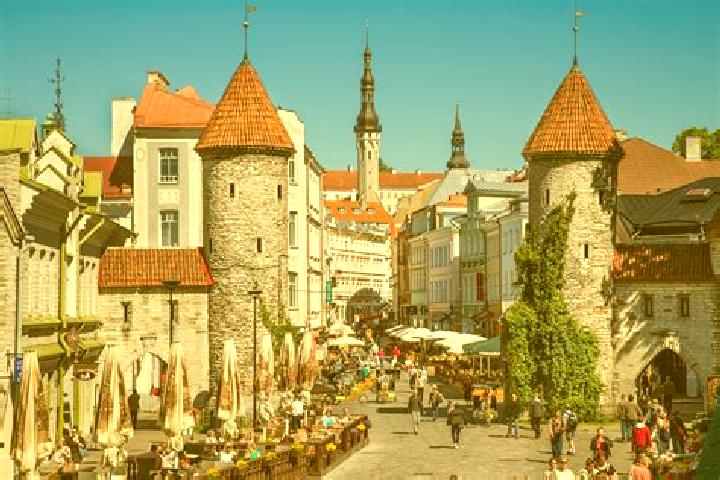 Lily, 39 — Escort in Tallinn, Estonia