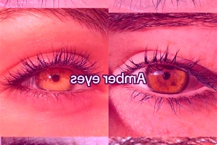 Lucy, 20, a chestnut amber-eyed mediterranean companion based in Stia. Offering GFE, Travel Companion, OWO, BDSM, Overnight. Available for incall and outcall...