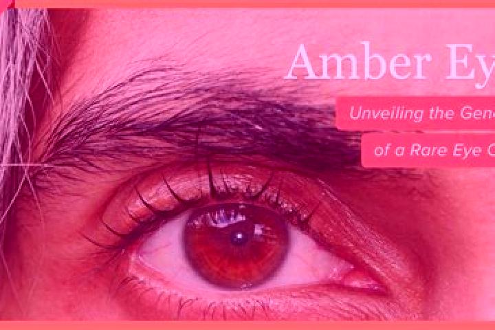 Lucy, 20, a red amber-eyed european companion based in Minerva Park. Offering GFE, BDSM, CIM, Tantra, A-Level. Available for incall and outcall, day and even...
