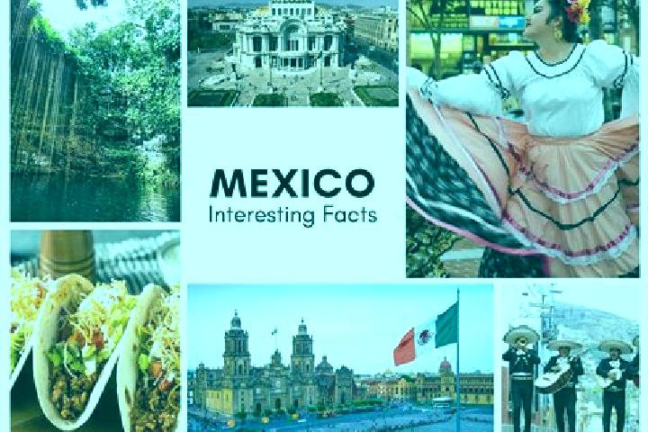 Lucy, 20 — Escort in Amatal, Mexico