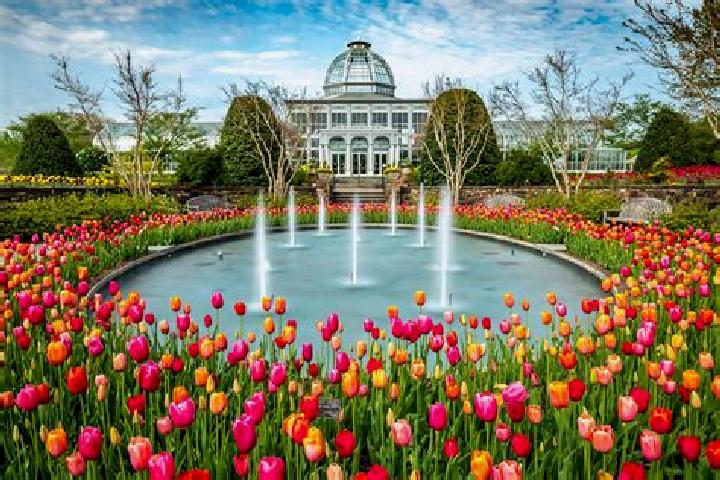 Lucy, 20 — Escort in Garden City Park, United States