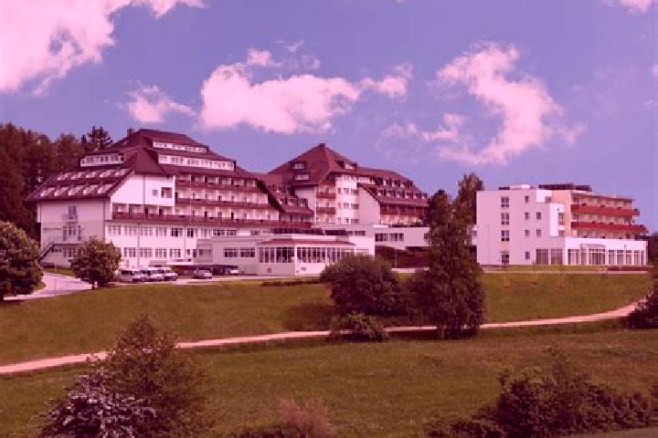 Lucy, 20 — Escort in Laab im Walde, Austria