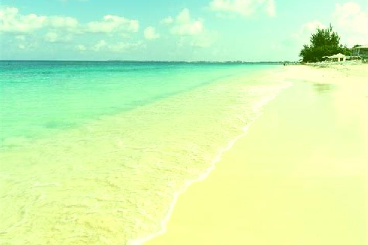 Lucy, 21 — Escort in Half Way Ground, Cayman Islands