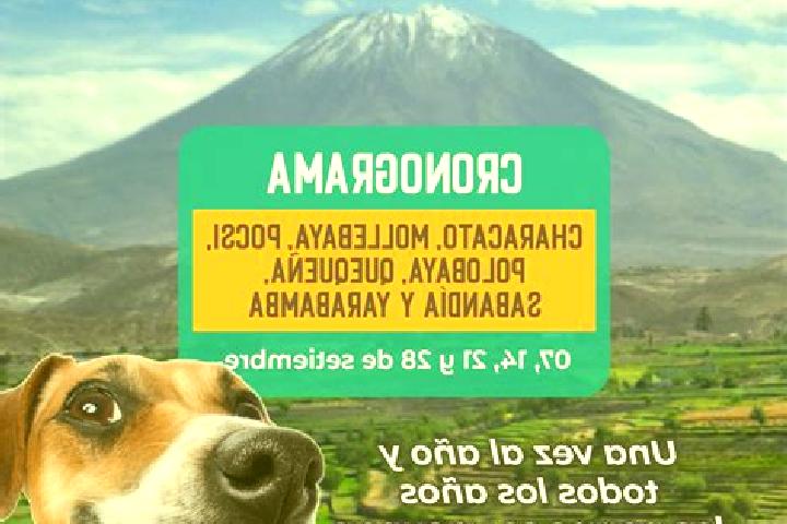 Lucy, 21 — Escort in Polobaya, Peru
