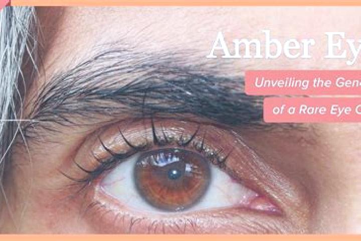 Lucy, 24, a black amber-eyed mixed companion based in Altinho. Offering Tantra, Erotic Massage, Duos. Available for incall and outcall, day and evening dates.
