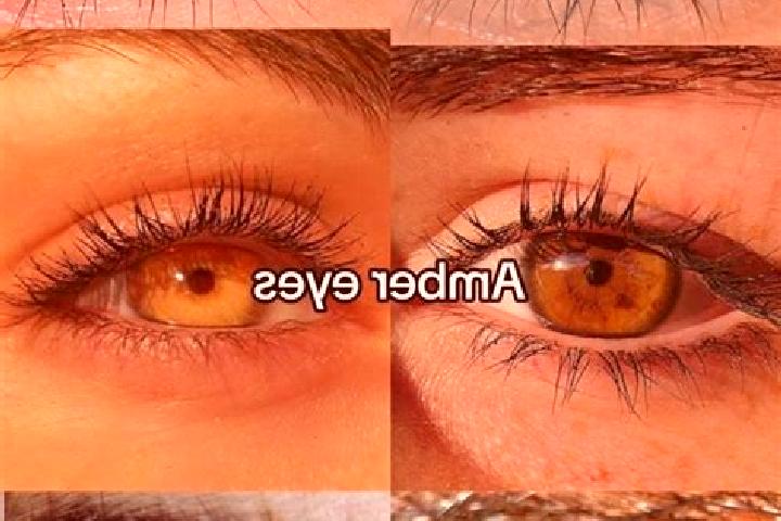 Lucy, 24, a chestnut amber-eyed middle eastern companion based in Antonio Martins. Offering BDSM, Duos, Domination, 69. Available for incall and outcall, ove...