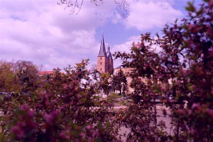 Lucy, 25 — Escort in Rositz, Germany