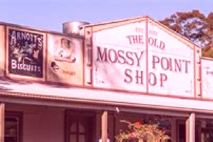 Lucy, 26 — Escort in Mossy Point, Australia