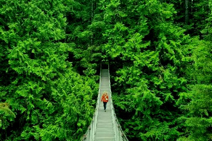 Lucy, 27 — Escort in Lynn Canyon, Canada