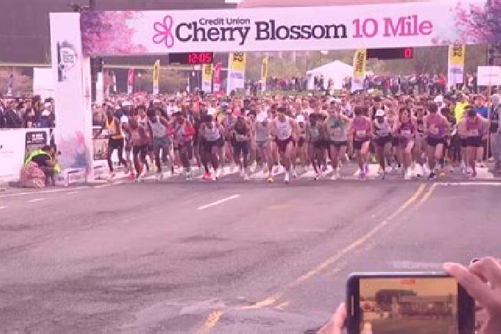 Lucy, 27 — Escort in Ten Mile Run, United States