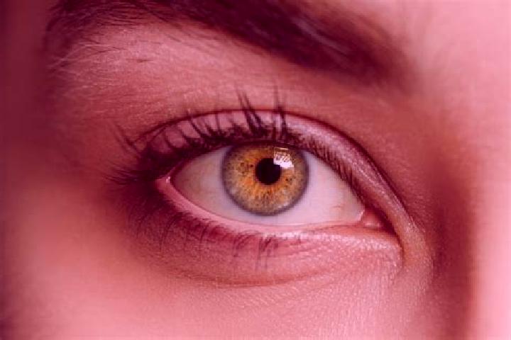 Lucy, 28, a black hazel-eyed slavic companion based in Ellisville. Offering Overnight, GFE, Massage. Available for incall and outcall, overnight bookings ava...