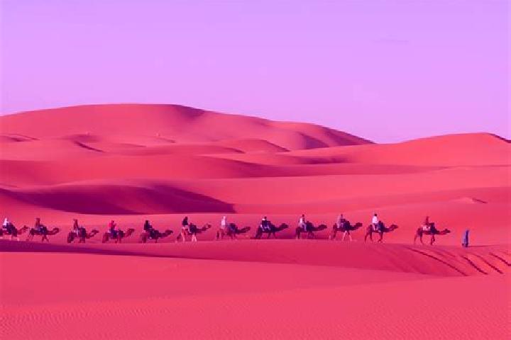 Lucy, 28 — Escort in Za Bougrine, Morocco