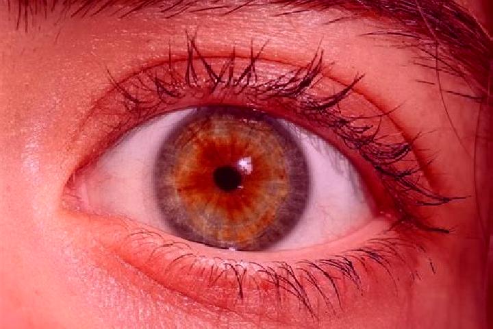 Lucy, 29, a red hazel-eyed caribbean companion based in Cupareo. Offering OWO, Domination, BDSM, Tantra. Available for incall and outcall, overnight bookings...