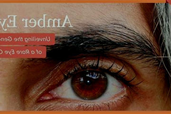 Lucy, 30, a red amber-eyed mediterranean companion based in Ponte Barizzo. Offering Duos, BDSM, Party Girl. Available for incall and outcall, overnight booki...