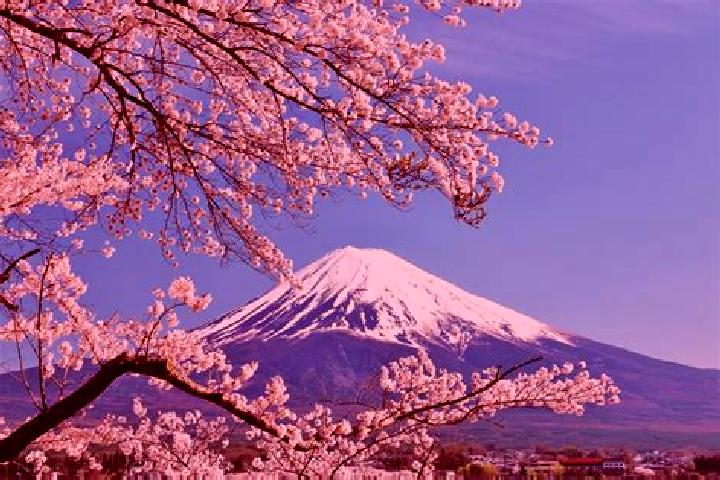 Lucy, 30 — Escort in Koshi, Japan