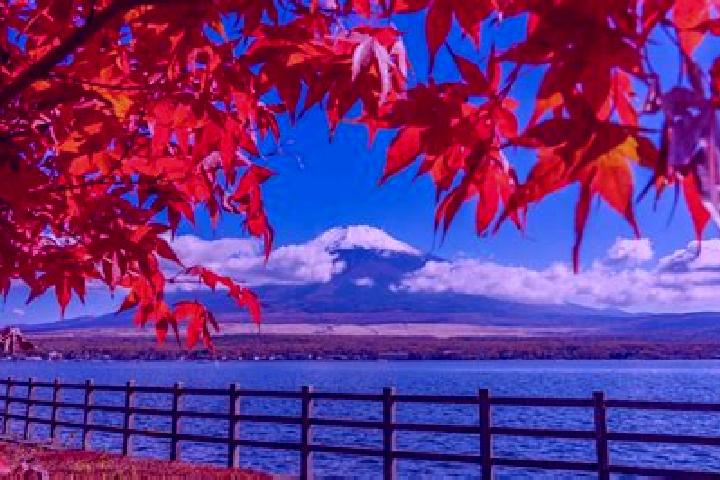 Lucy, 30 — Escort in Sasaguri, Japan