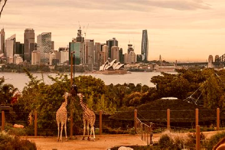 Lucy, 30 — Escort in Sydney, Australia