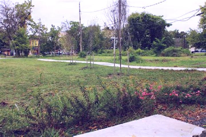 Lucy, 32 — Escort in Central Forest Park, United States