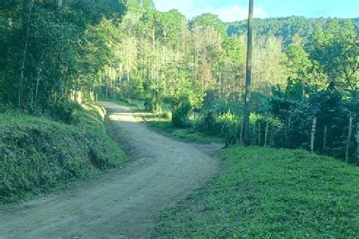 Lucy, 33 — Escort in Opatoro, Honduras
