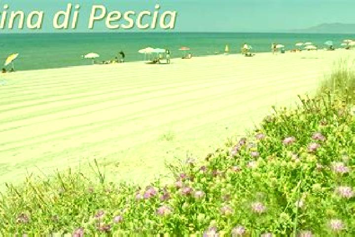 Lucy, 33 — Escort in Pescia Romana, Italy