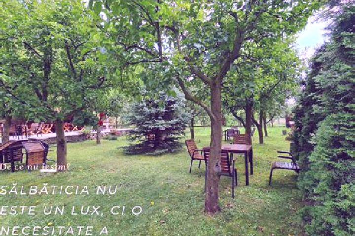Lucy, 34 — Escort in Ceru-Bacainti, Romania