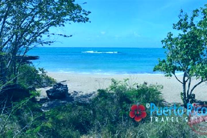 Lucy, 34 — Escort in Guanica, Puerto Rico