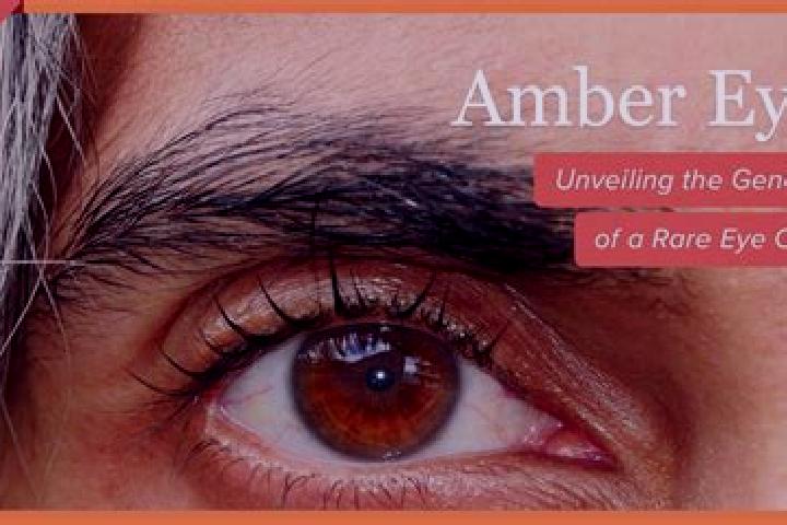Lucy, 36, a red amber-eyed mixed companion based in Caldes de Montbui. Offering CIM, BDSM, 69, Couples. Available for incall and outcall, day and evening dates.