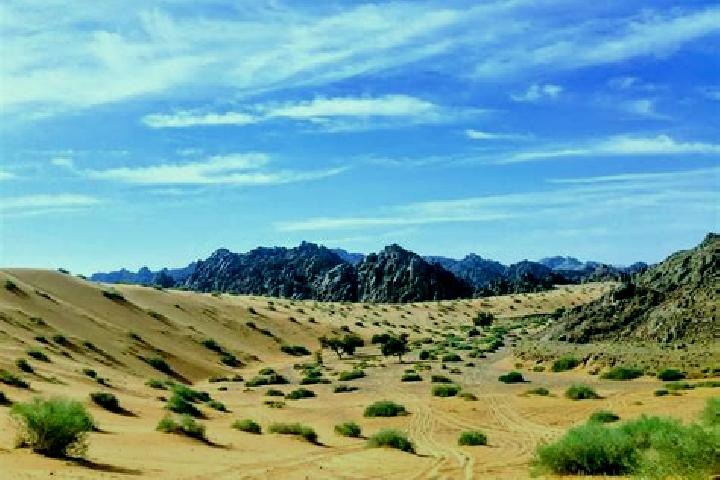 Lucy, 36 — Escort in Al Uyaynah, Saudi Arabia