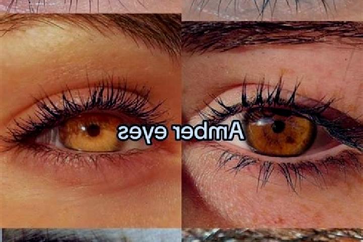 Lucy, 37, a brunette amber-eyed middle eastern companion based in Palla. Offering Erotic Massage, Travel Companion, Girlfriend Experience, 69. Available for ...