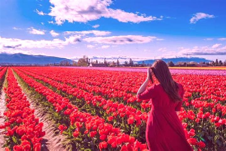 Lucy, 37 — Escort in Vernon Valley, United States