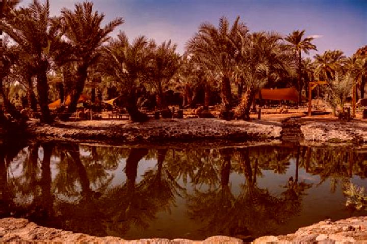 Lucy, 38 — Escort in Al Qatif, Saudi Arabia
