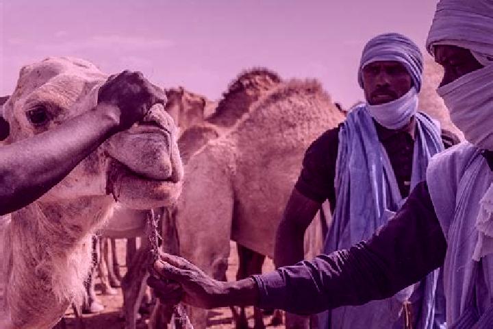 Lucy, 38 — Escort in Boutilimitt, Mauritania