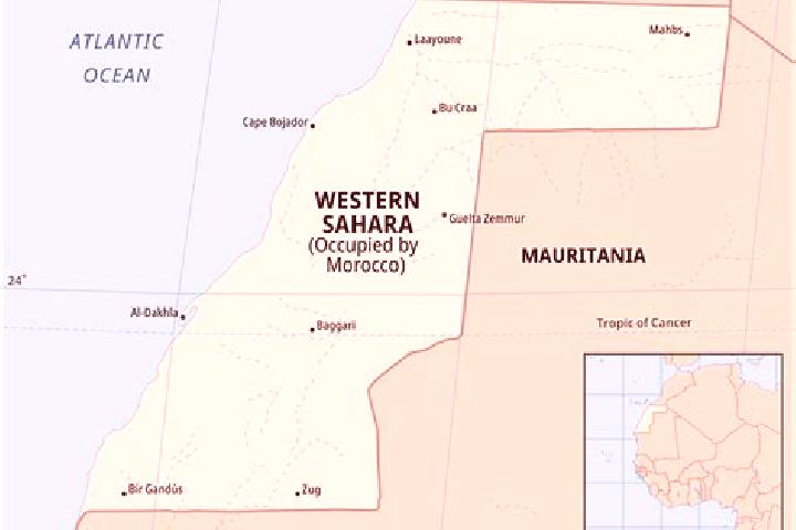 Lucy, 38 — Escort in Oum Dreyga, Western Sahara