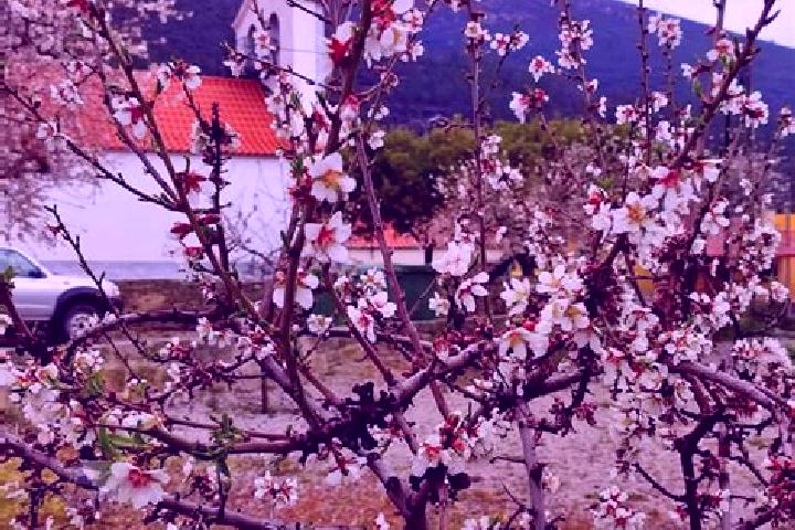 Lucy, 38 — Escort in Torre de Moncorvo, Portugal