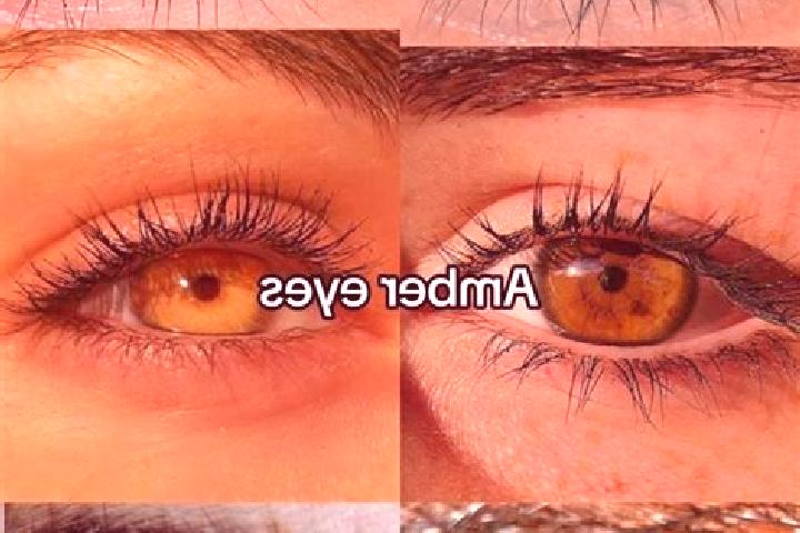 Lucy, 39, a chestnut amber-eyed slavic companion based in Wredenhagen. Offering GFE, Overnight, OWO. Available for incall and outcall, day and evening dates.