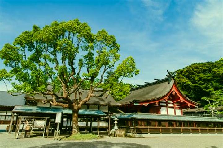 Lucy, 39 — Escort in Munakata, Japan