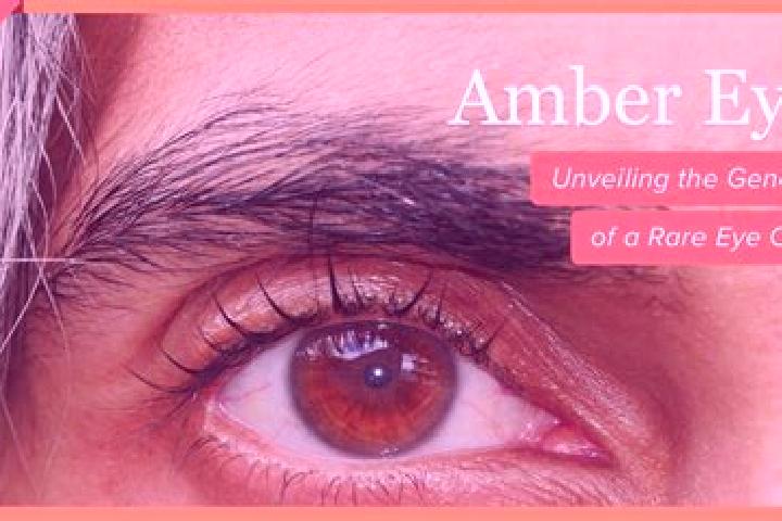 Luna, 20, a black amber-eyed mixed companion based in Saint-Boniface. Offering Travel Companion, Girlfriend Experience, Fetish, Overnight, Striptease. Availa...